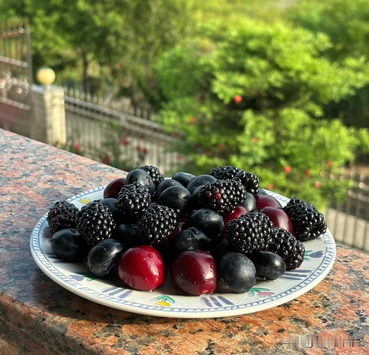 我们要有足够的愚蠢，才能感到幸福，但是，要有足够的智慧才能看清愚蠢。