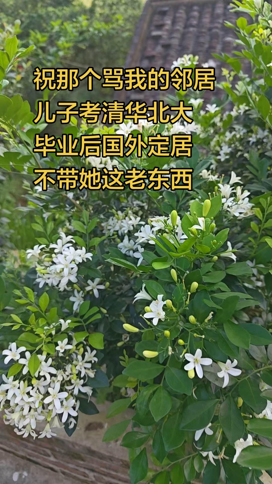 以后儿子国外定居，看你还怎么狂