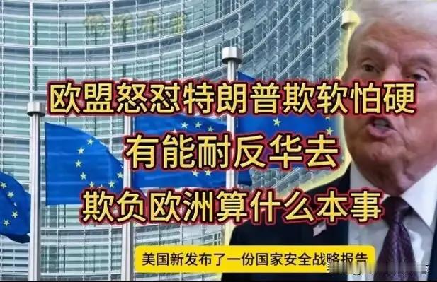 欧洲被逼的抓耳挠腮，做梦都没想到特朗普对他们下手，欧盟一些政客抱怨说“特朗普是欺