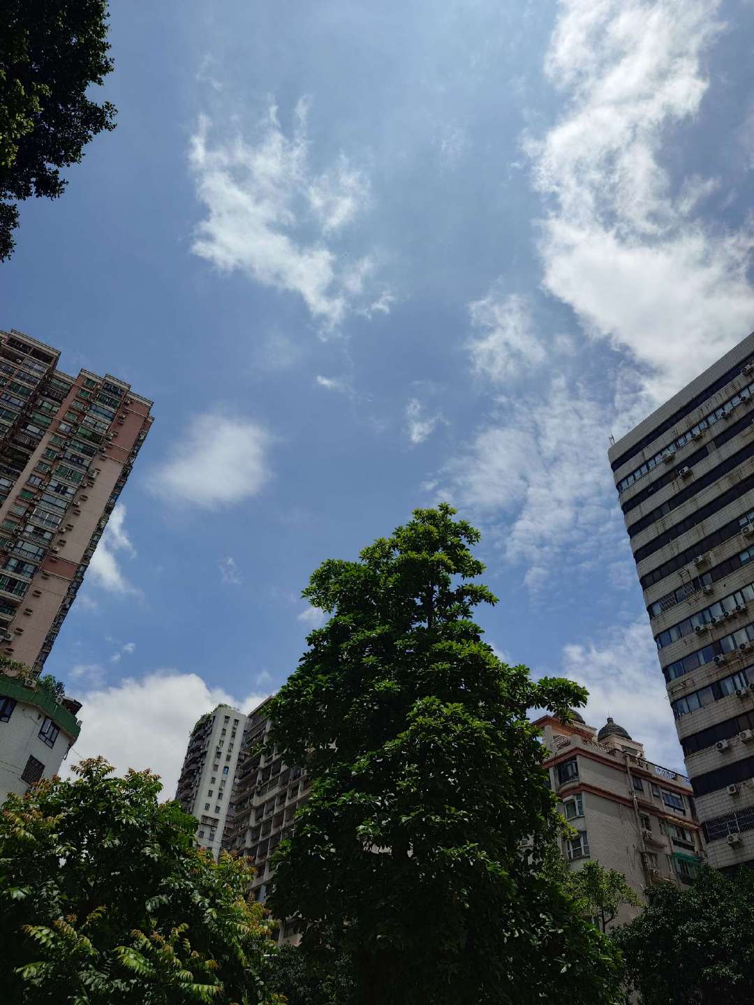 今天广州天气也未免太好了吧！！！ 