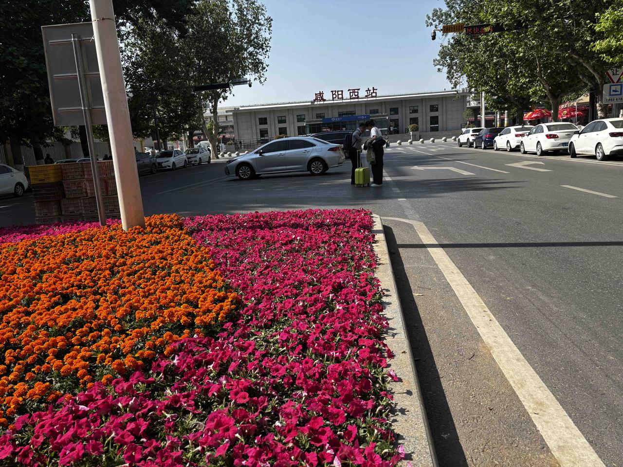 西站南广场作为咸阳的城市窗口，是外地游客对咸阳的第一印象。近期广场摆起花坛进行美
