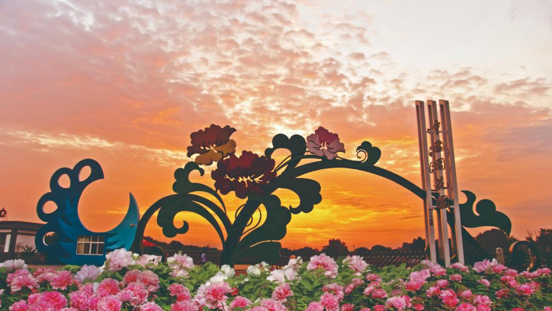 洛阳财政增长稳定！

2025年洛阳全市地方财政收入为 421.8 亿元，同比增