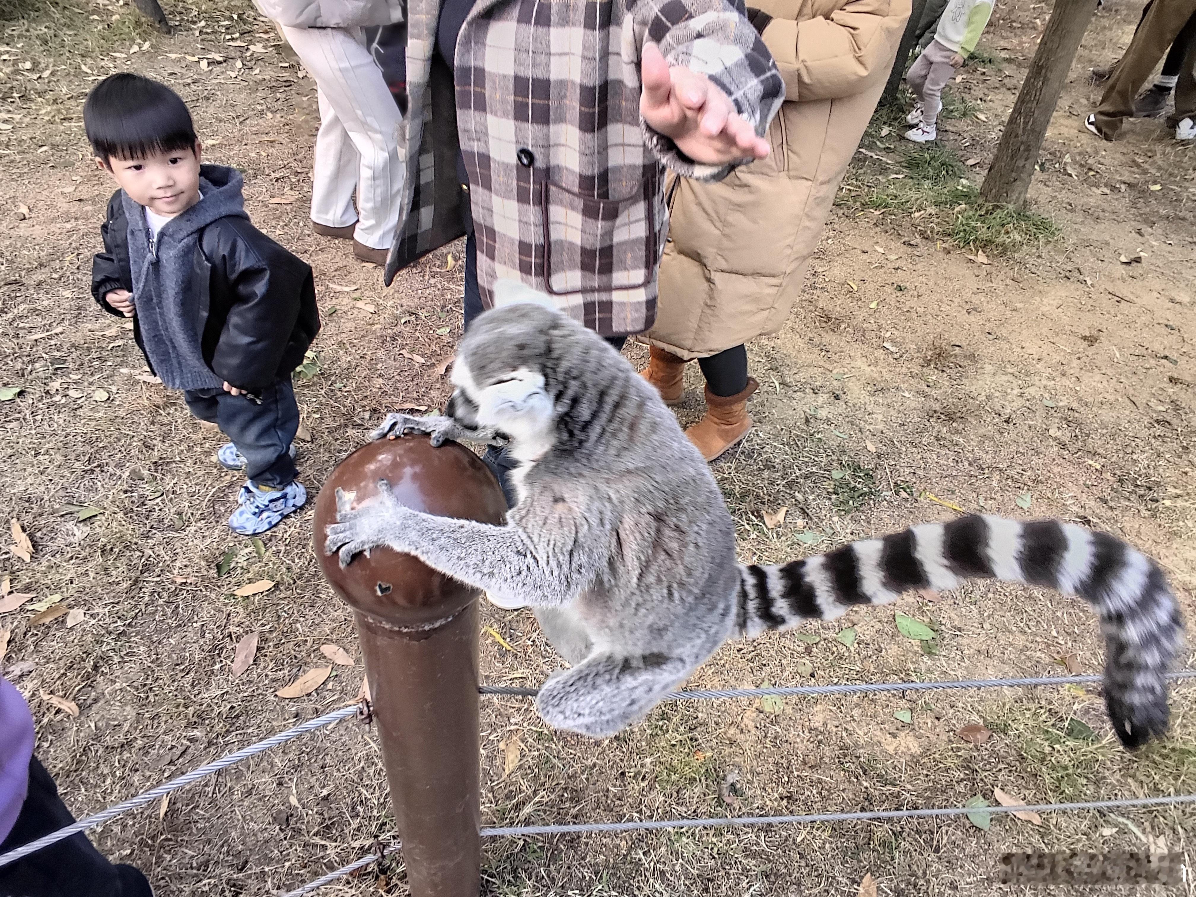 这段时间深度体验了理想AI眼镜，整体感受都超出预期。重量控制出色，长时间佩戴也不