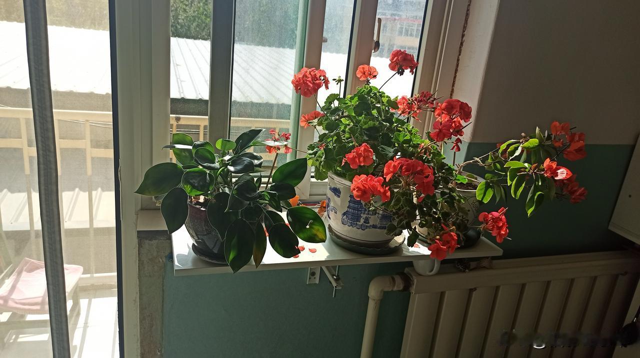 给2026的自己写句话努力地活着，活着得努力