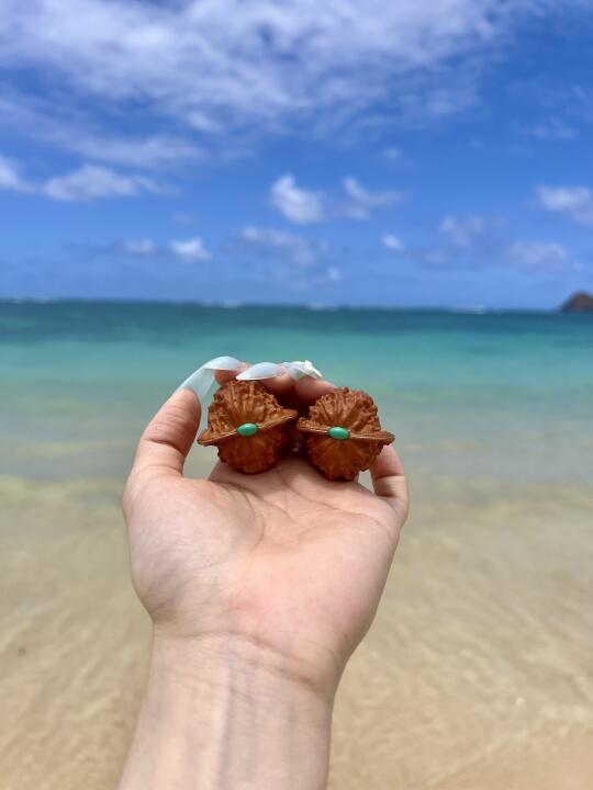 果冻海边的小核桃🌴🥥