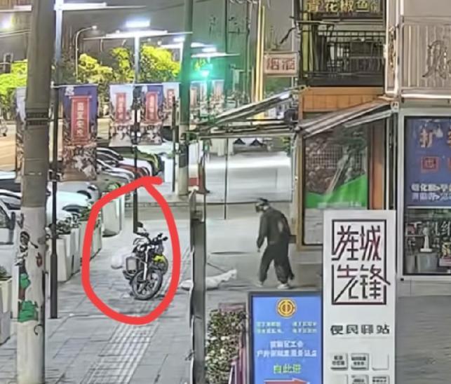 德阳，一只小型柴犬在老地方等主人下班，被一陌生黑衣人悄悄跟上，用麻醉枪打到脑袋。