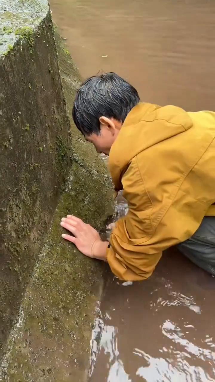 大家注意看。
感谢关注。