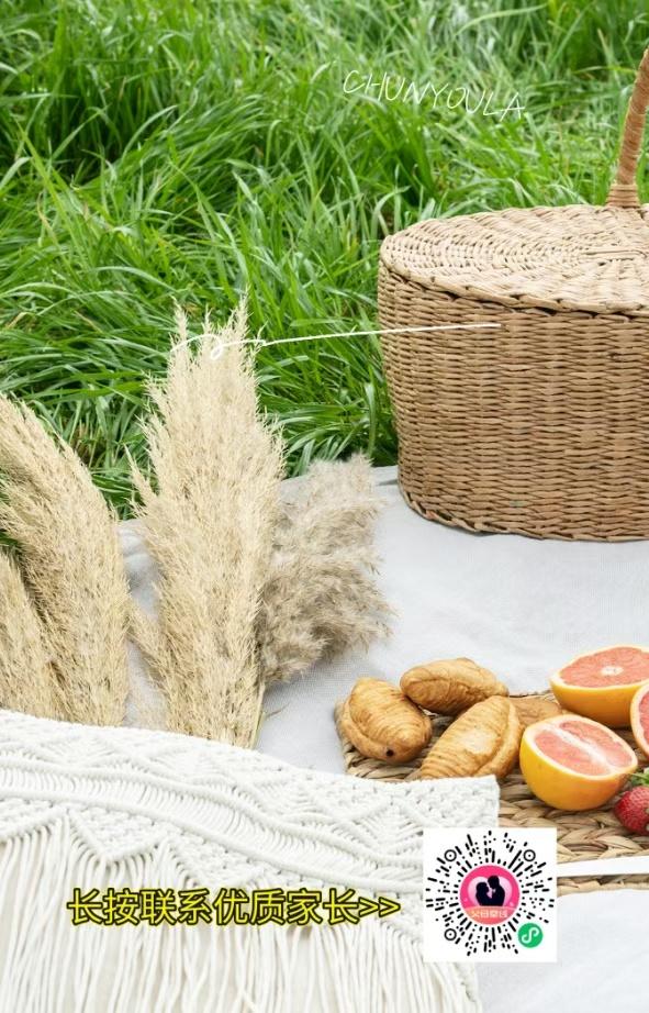 夏日野餐篮，新鲜水果和面包，享受自然时光！