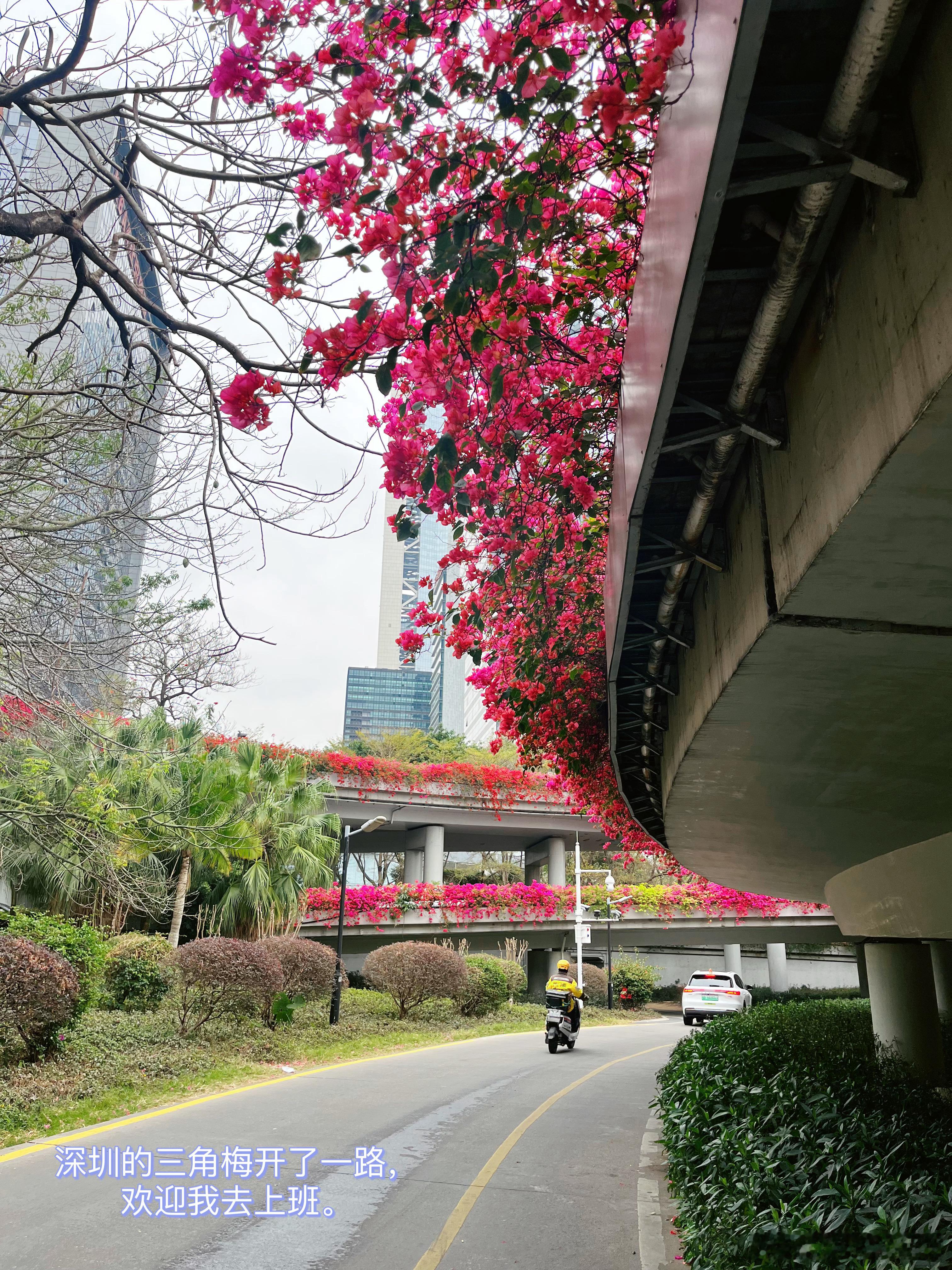 📝这周比较忙，忙里抽空去健身房划水。不希望像上年那样，忙就彻底不去了。要捡回来