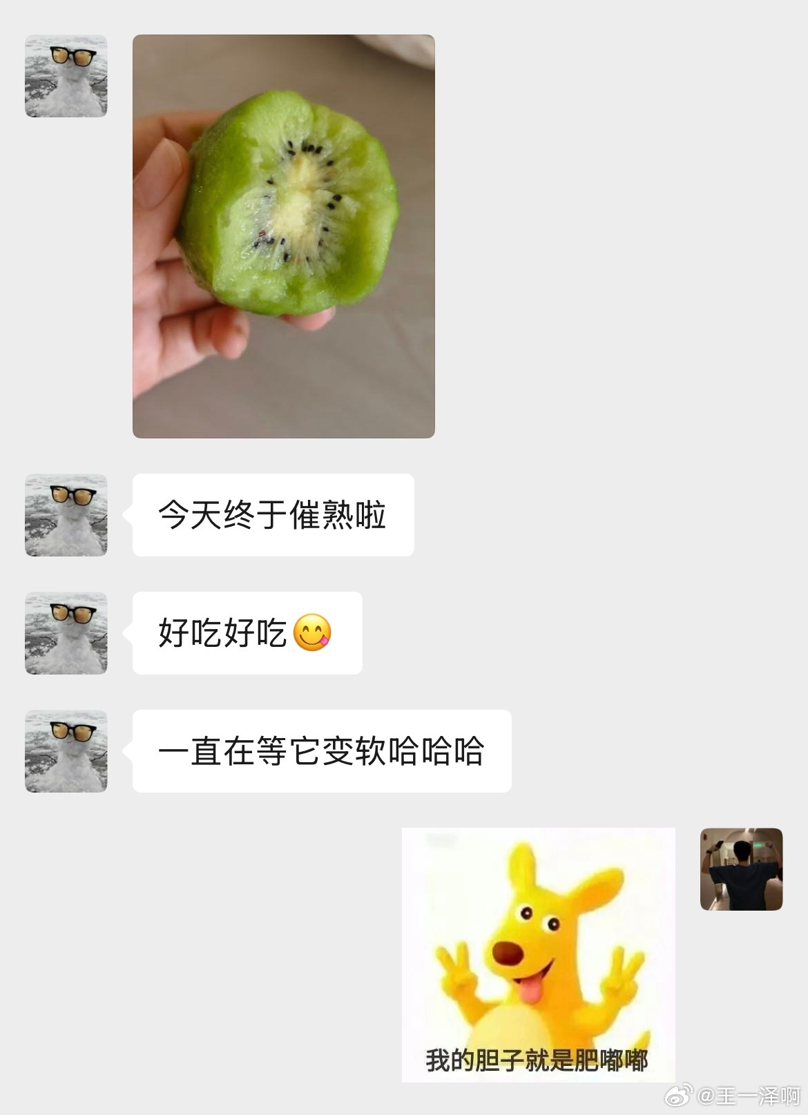 我的胆子就是肥嘟嘟 ​​​