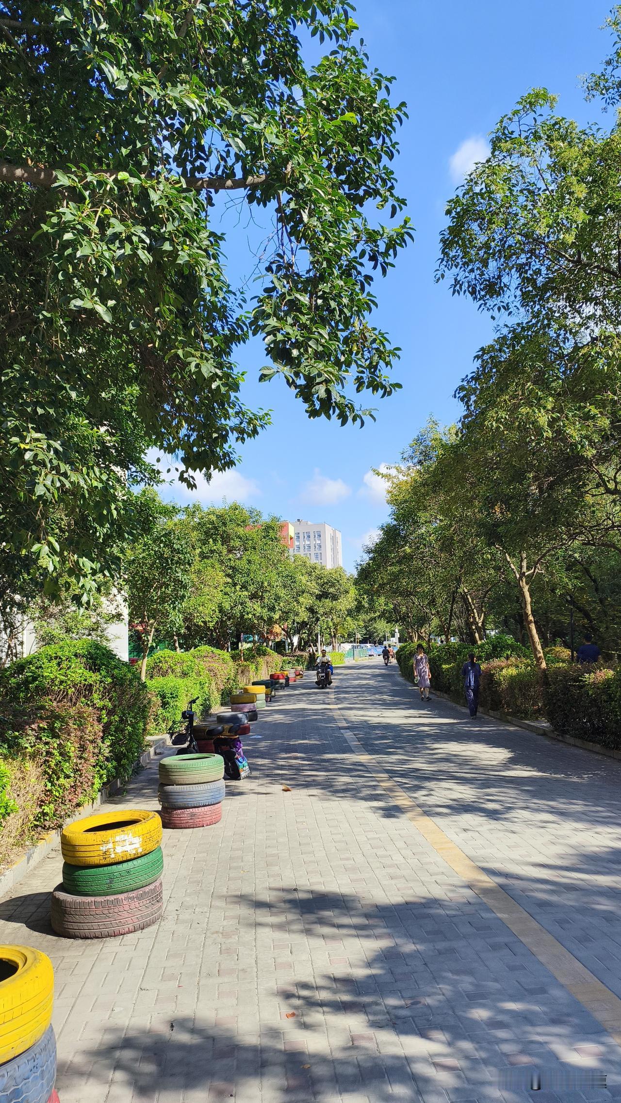 今早出门去巷口的便民菜场挑青菜，穿了件薄长袖走了五百米，后颈已经闷出一层细汗。