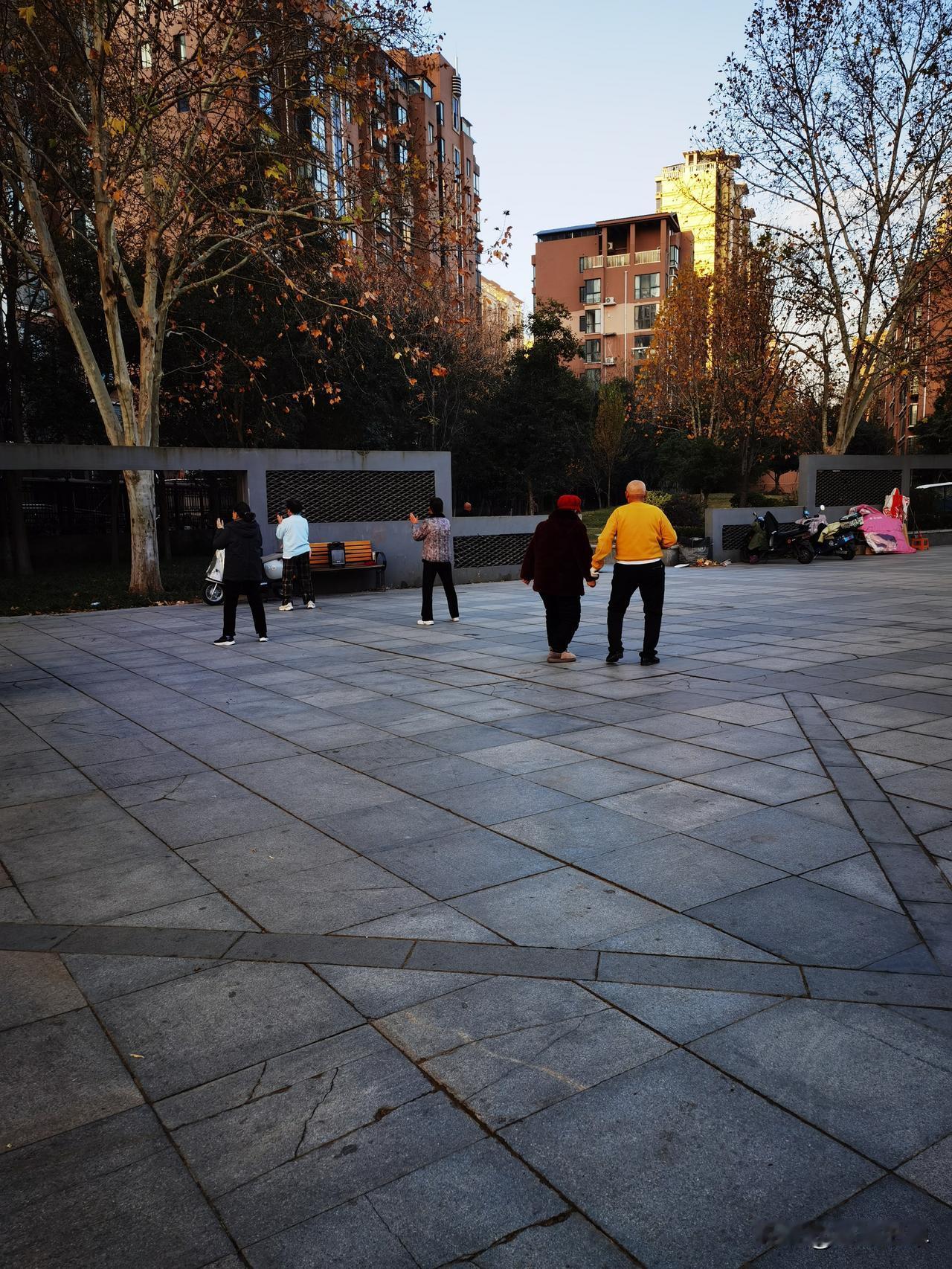 天啊，我真的没想到，一对儿耄耋老人锻炼健身如此美好！今日早晨我沿着小区外面的道路