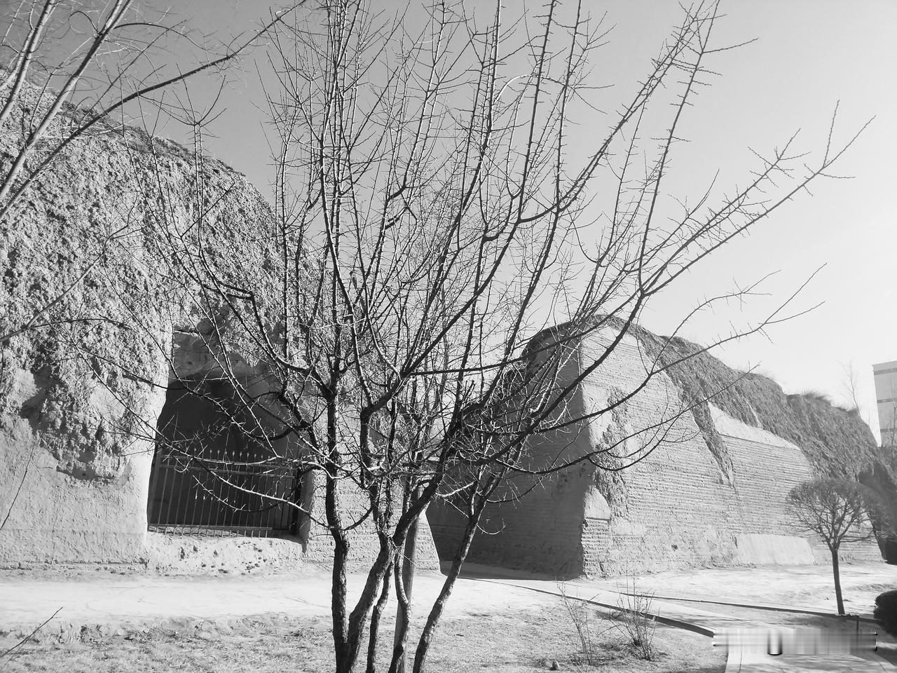 梦，能回到过去
能穿越未来
像古城墙
早上阳光灿烂，
夜晚
月色清冷……