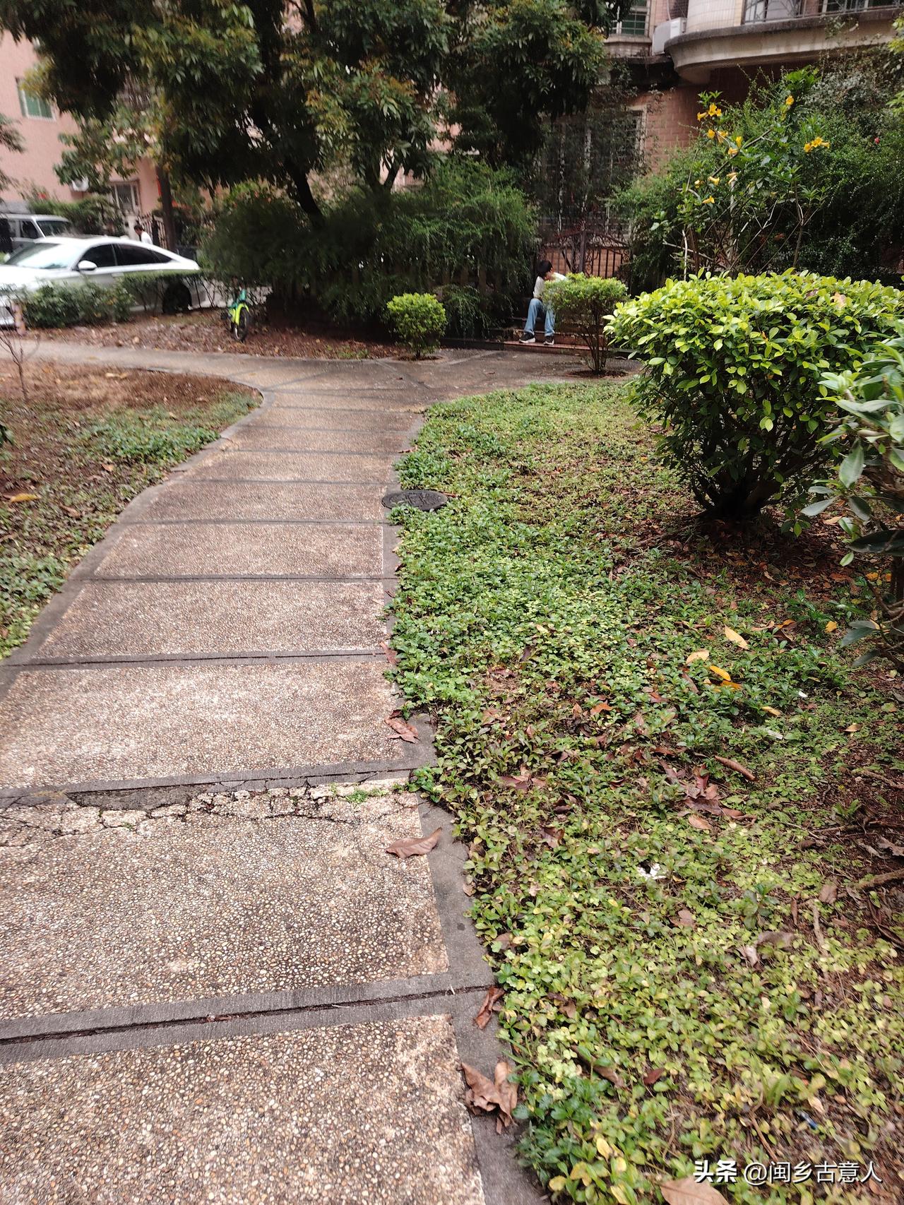 原来真有人每天假装去上班，也不知道啥想的，年纪轻轻的不去找工作

从去年夏天（大