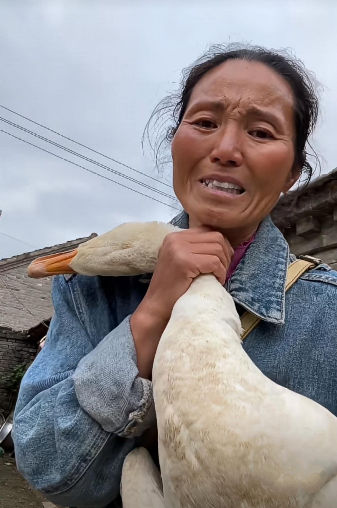刷到作家鸡毛姐的视频，她一点点养的一只大鹅突然死了，她非常伤心。对此，我很感同身