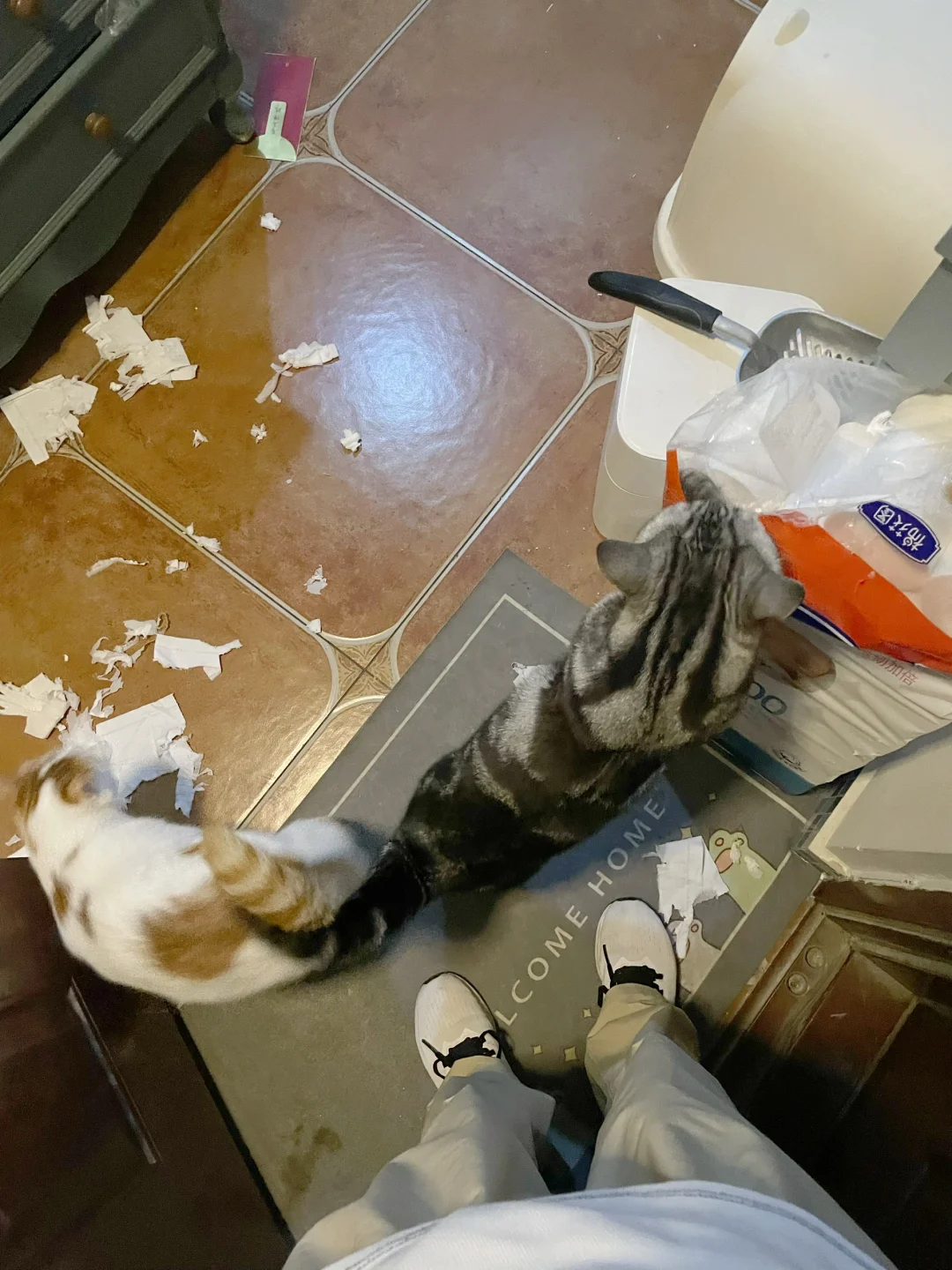 打开门就是一个血压飙升