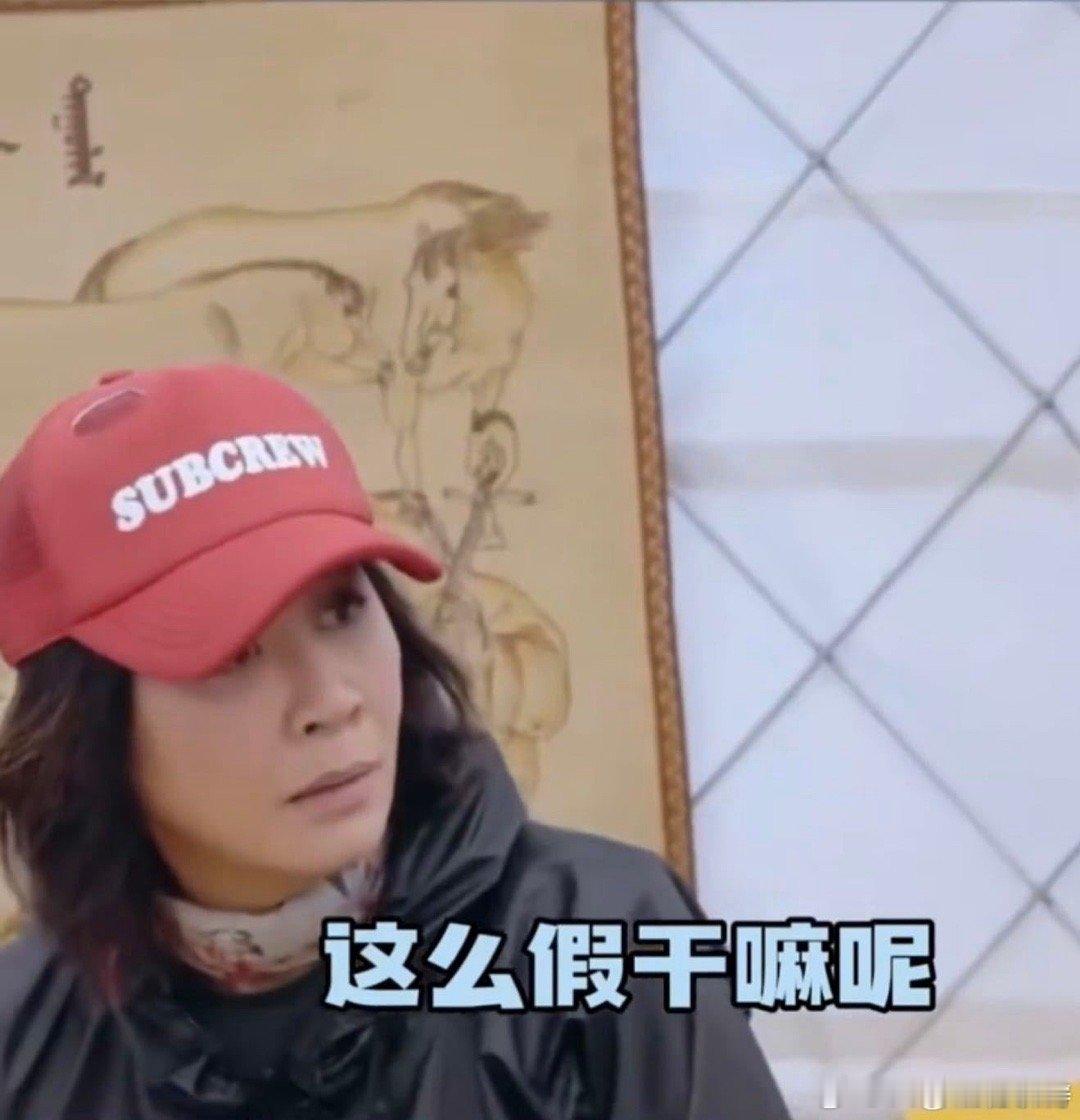 刘嘉玲 内娱文化冲击 一顿饭功夫颠覆三观！刘嘉玲质疑偶像恋爱禁令，灵魂三问直击内