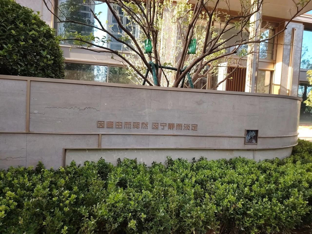长江天地一期，园林绿化、户内装饰实景。期待全部完成后的效果！