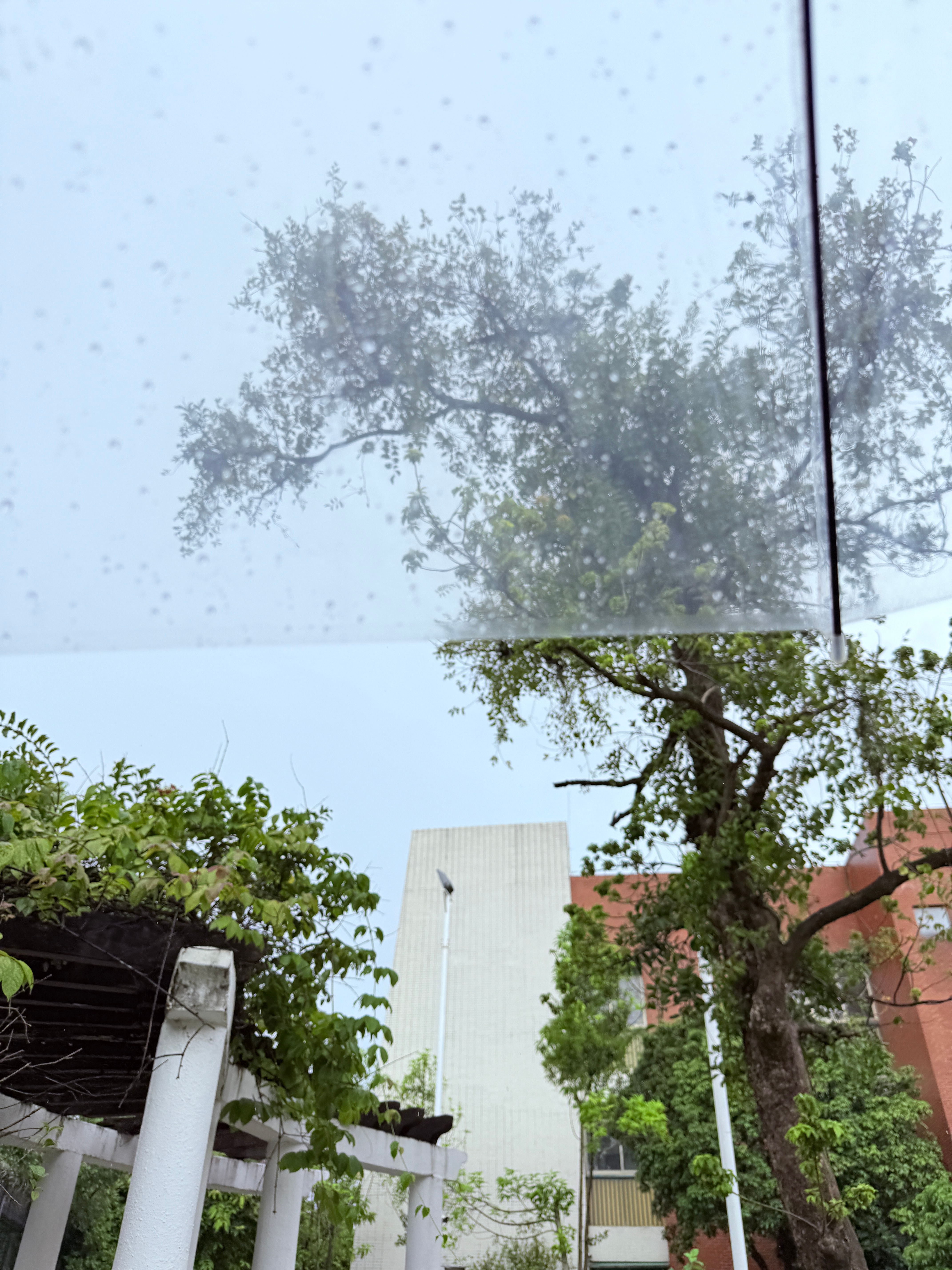 这雨下个不停！ 