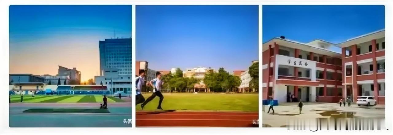 同事的女儿高考636分，填报了武汉大学，勾选了服从调剂。结果通知书一到，孩子被调