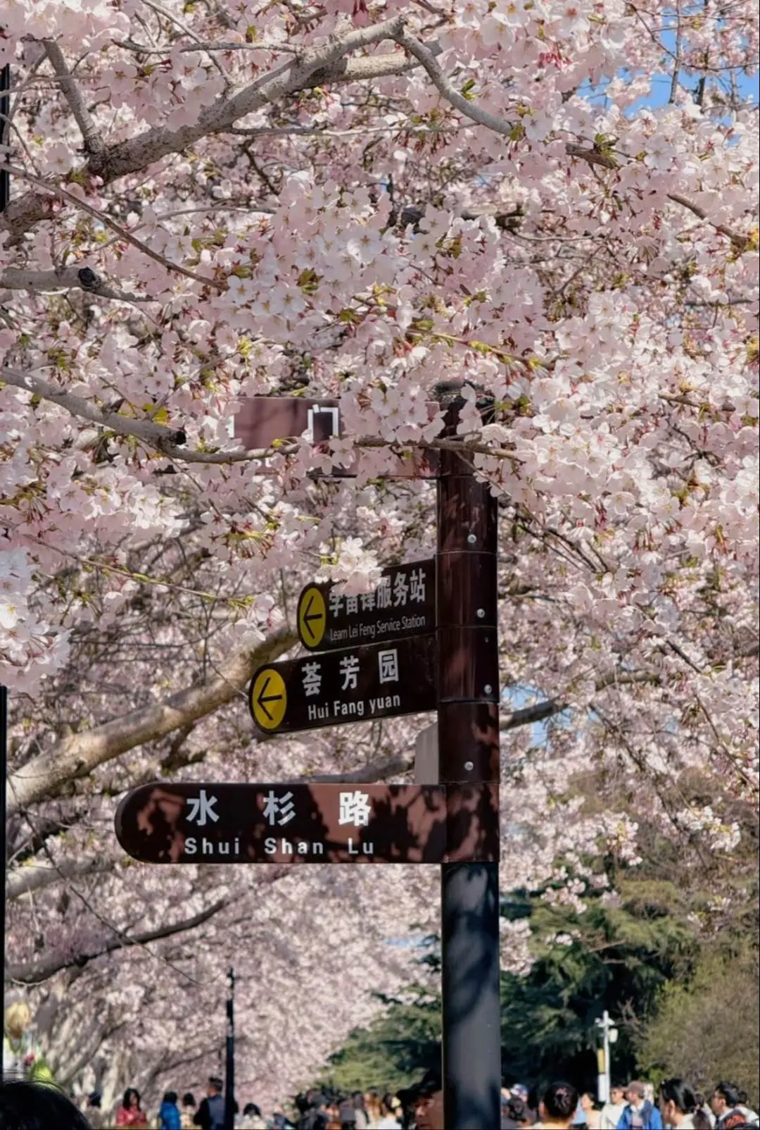 虽然咱俩已经分手了，而且看起来也没可能再和好了，但我心里头还是老觉得咱...