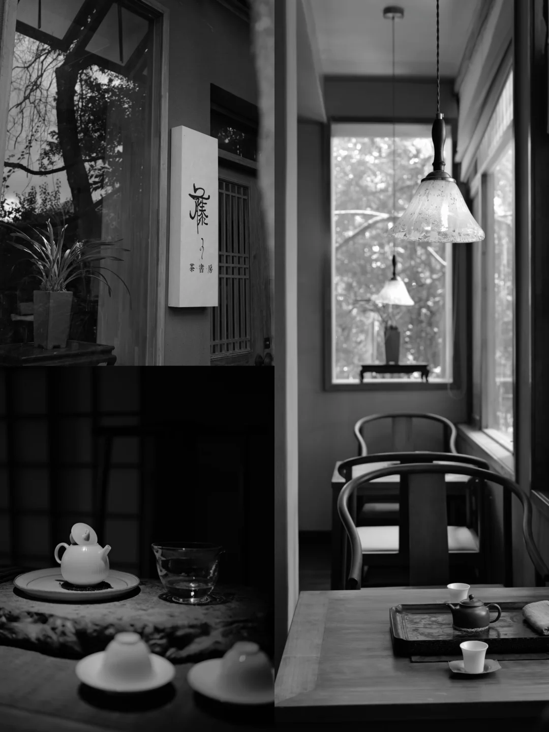 上山喝茶