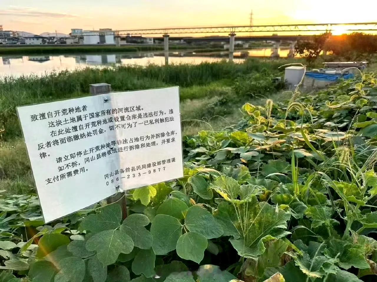 日本的告示牌为什么要用中文？ ​​​别问，问就是又歧视中国人了!铁头等网红看到煽