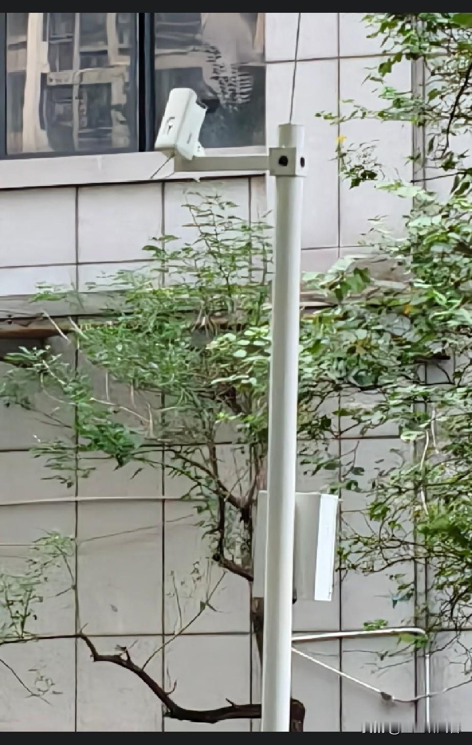 小区新增高空抛物摄像头！

今天在小区散步，发现绿化带里新增了这种朝上安装的摄像