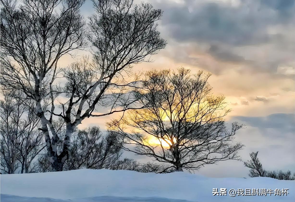 上联：疏疏密密黄昏雪
下联：有请雅士[玫瑰][玫瑰][玫瑰]