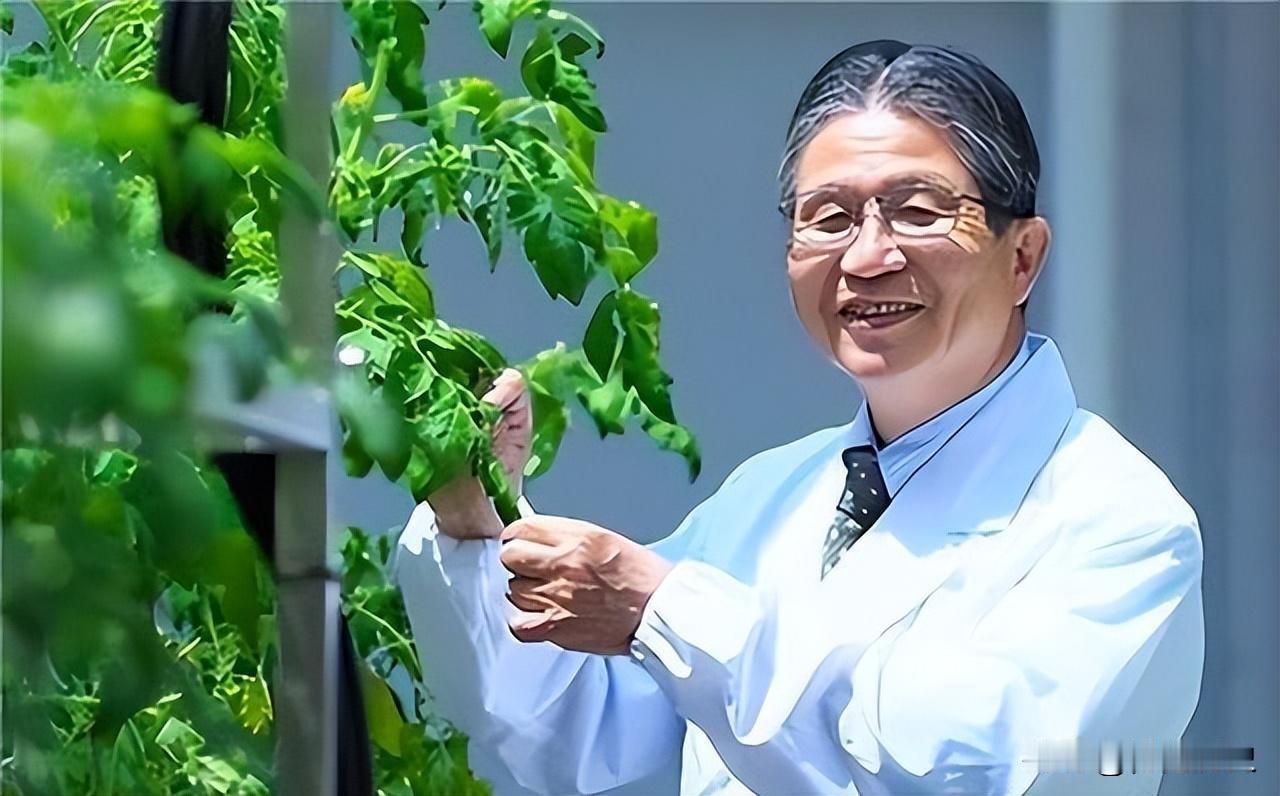 日本顶尖科学家藤岛昭竟带着他的机密技术连夜组团投奔中国，还放出狠话“一定会帮助中