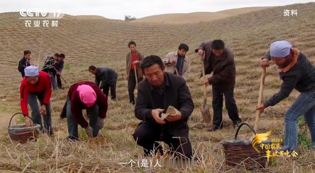 大漠版植此青绿他们一锹一锹逼退20公里沙漠 这才是真正的治沙英雄！王有德带着大伙