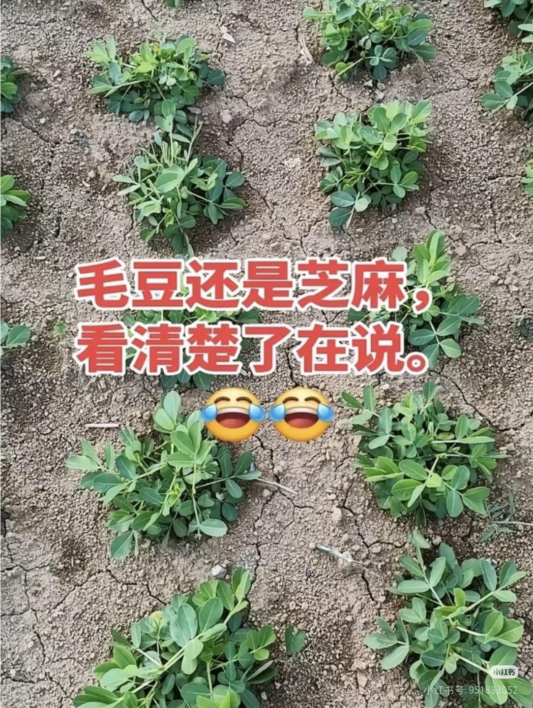 猜一猜！
朋友们：
请大家都来说说吧！

你说这是啥子？
