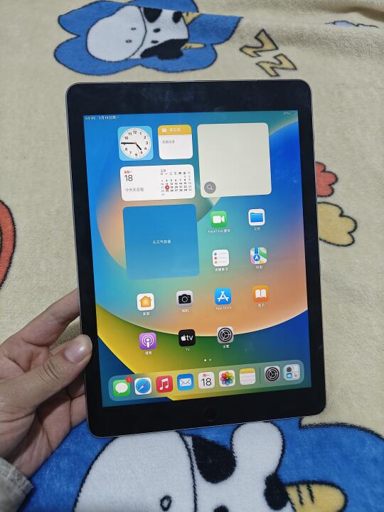 iPad Pro32G价格300