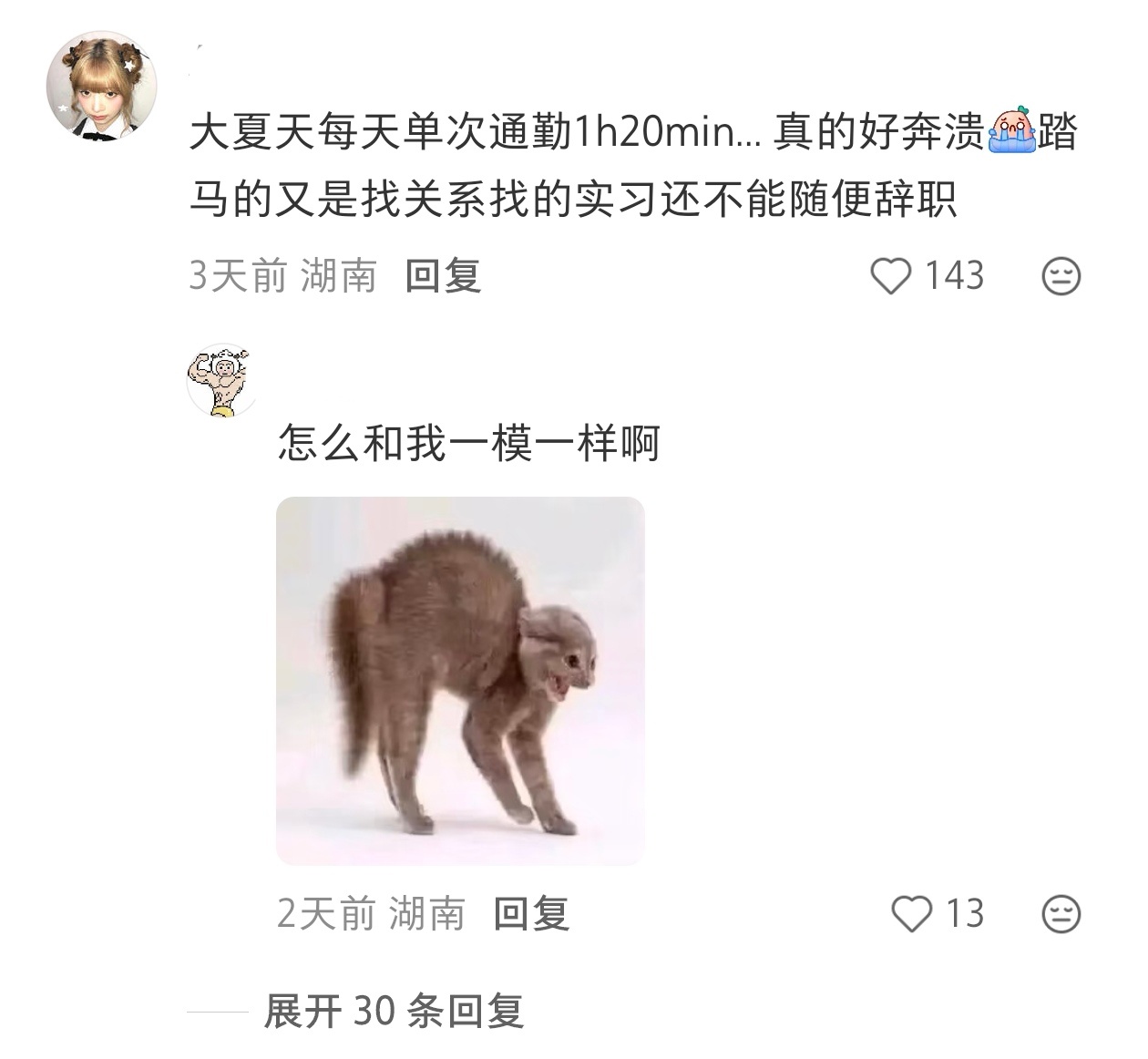 实习哪有不疯的于是实习生摊开手，允许一切流走 