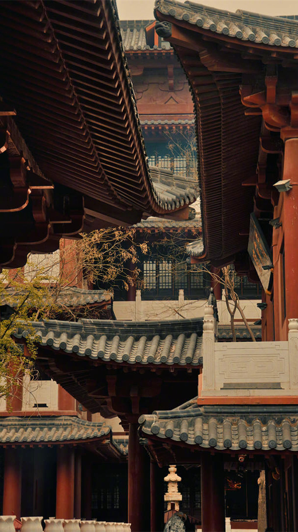 人无完人，金无赤金， 不虚伪就是最好的慈悲； 不做作就是很好的修为。 学会感恩，