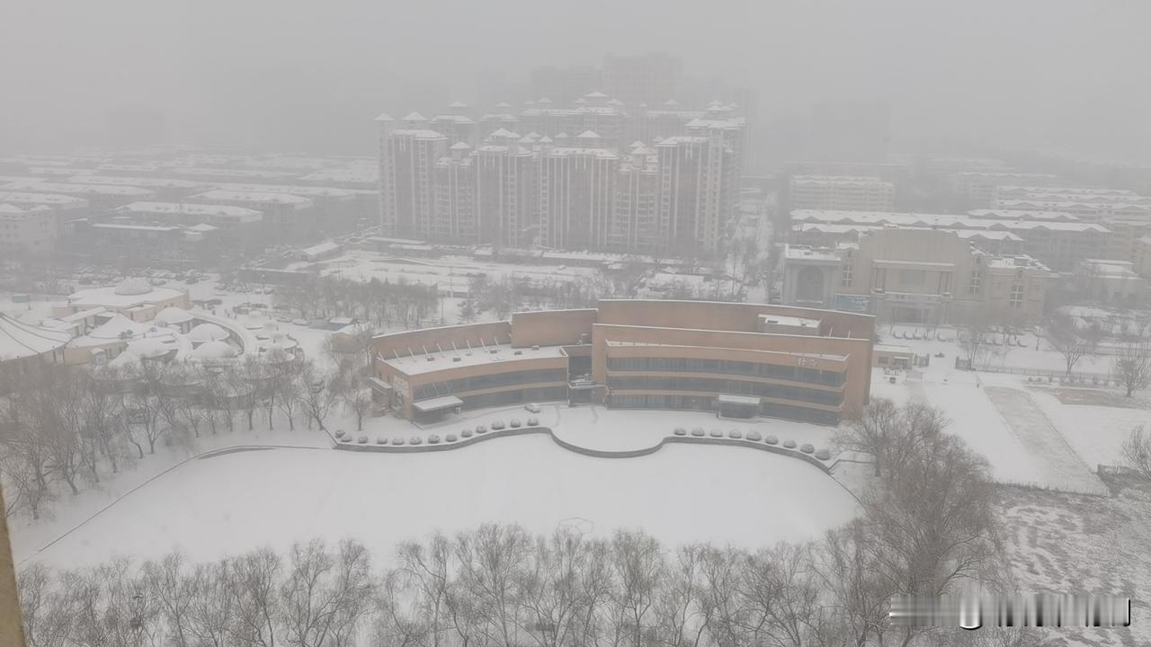 我家后面的公园，银装素裹，雪景如诗如画。