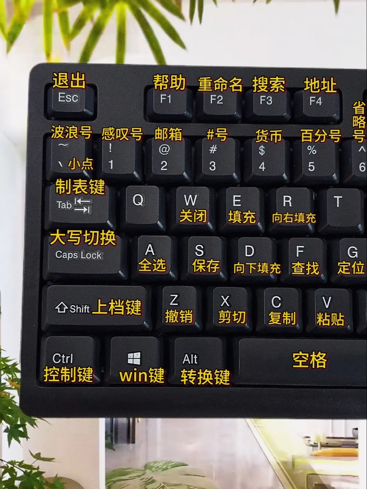 零基础学电脑从认识键盘开始。