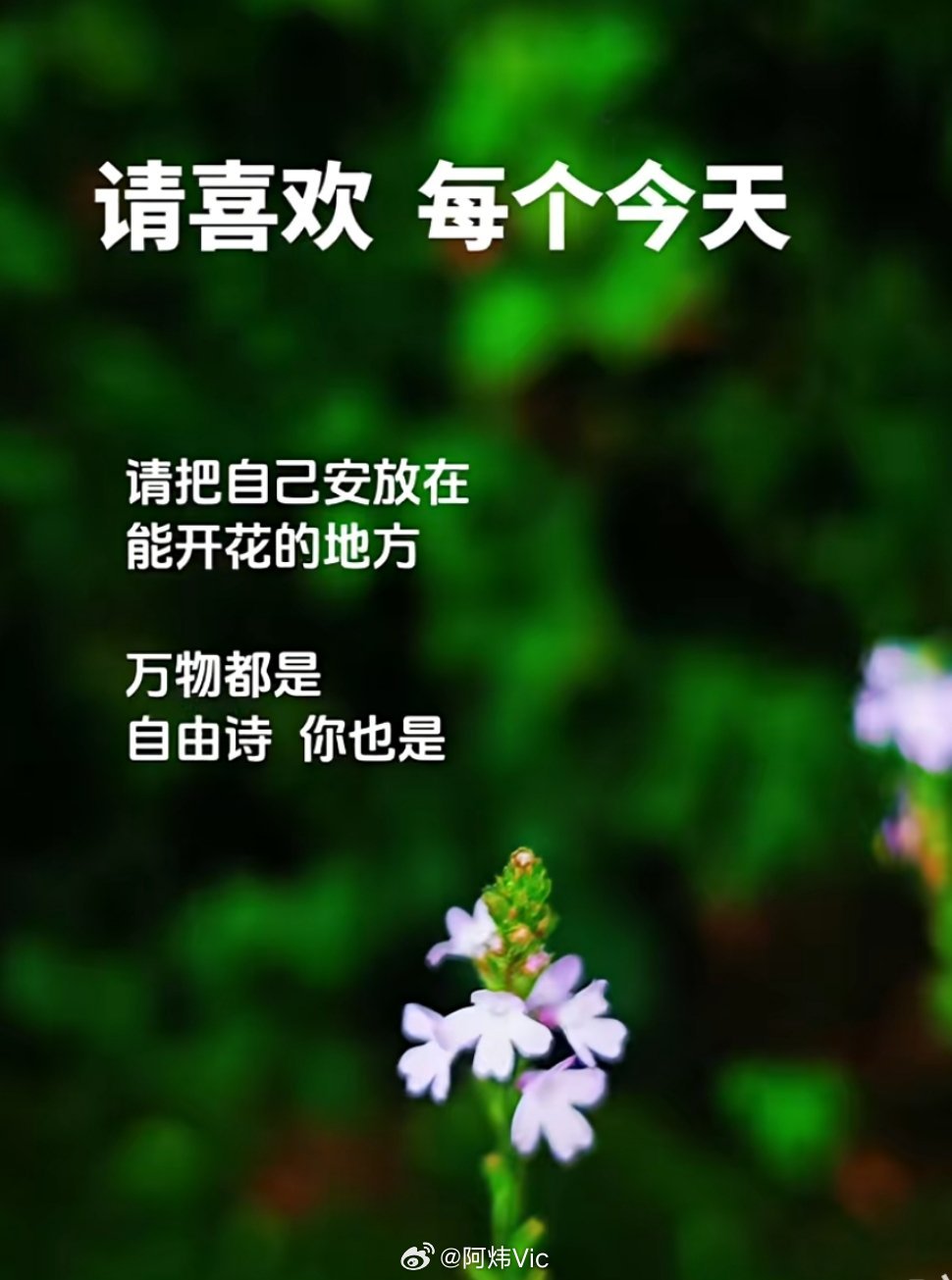 【建议这类手机壳赶紧扔掉】你每天摸的手机壳可能有毒目前手机壳尚未被列入强制性认证