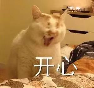今年六一你最想干什么今年六一，我想给自己买束花。小时候快乐来自别人给予，长大后学