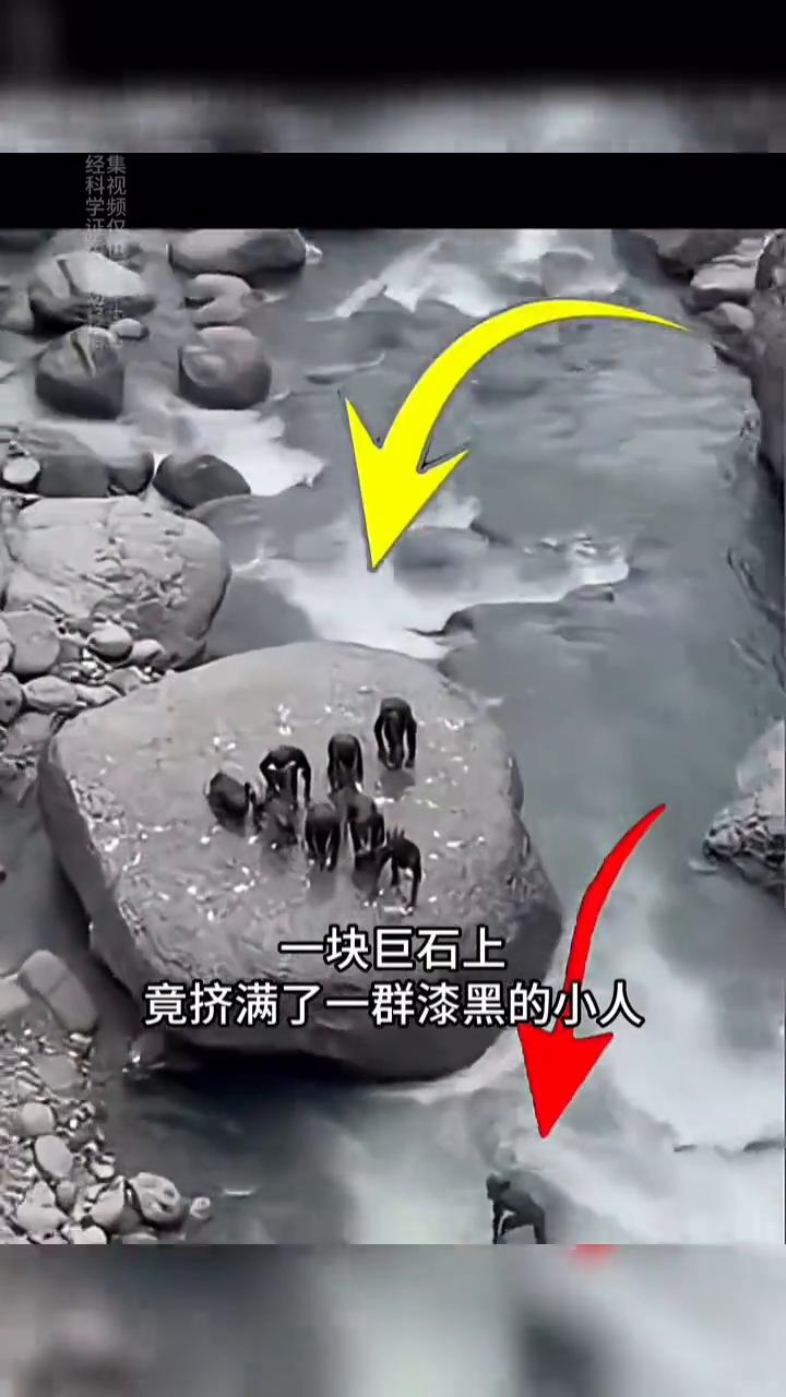 世界上真的有未知生物吗？这些画面你可能从未见过。荒山野岭的山洞里竟爬出一长串形态