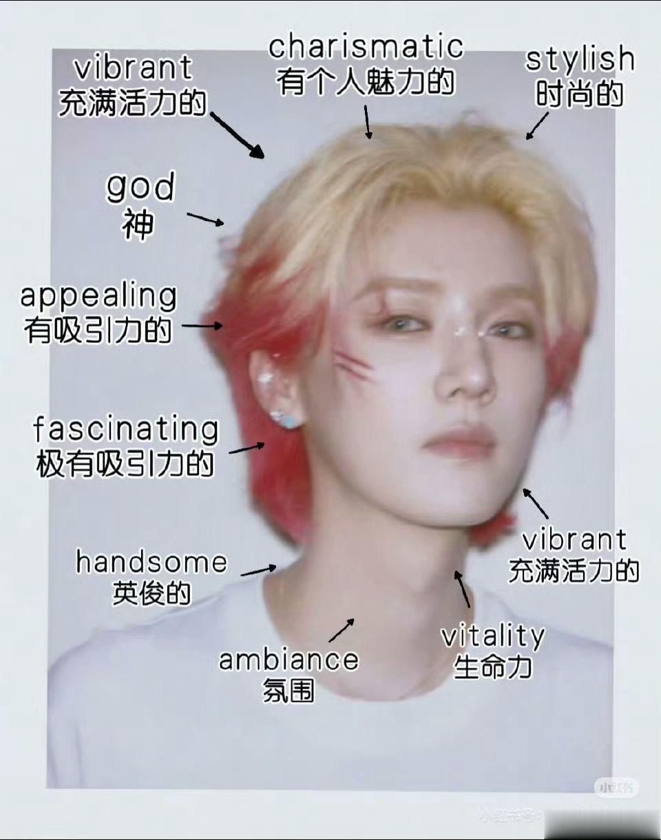 学习起来 cr：🧣