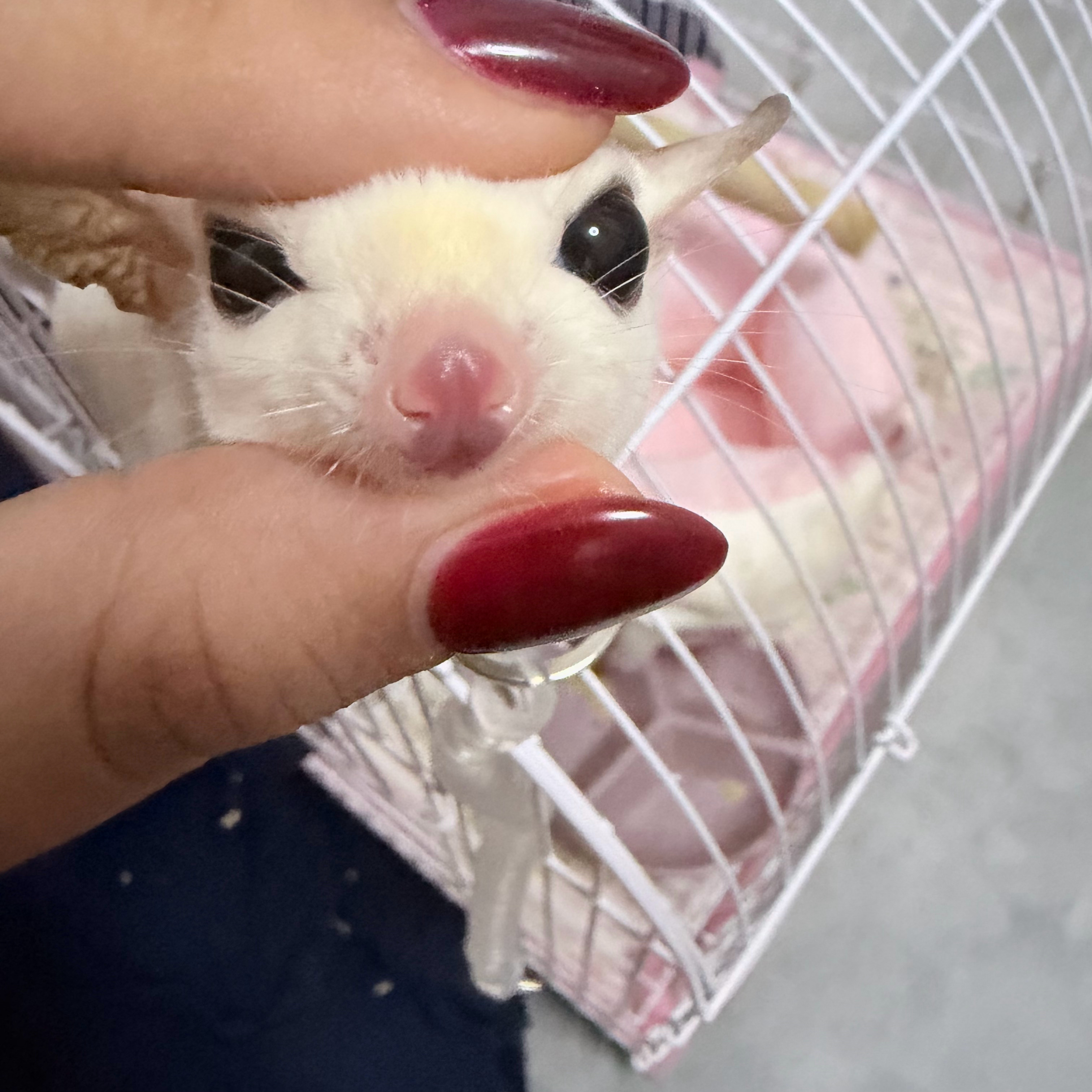 😚😚😚😚😚😚 
