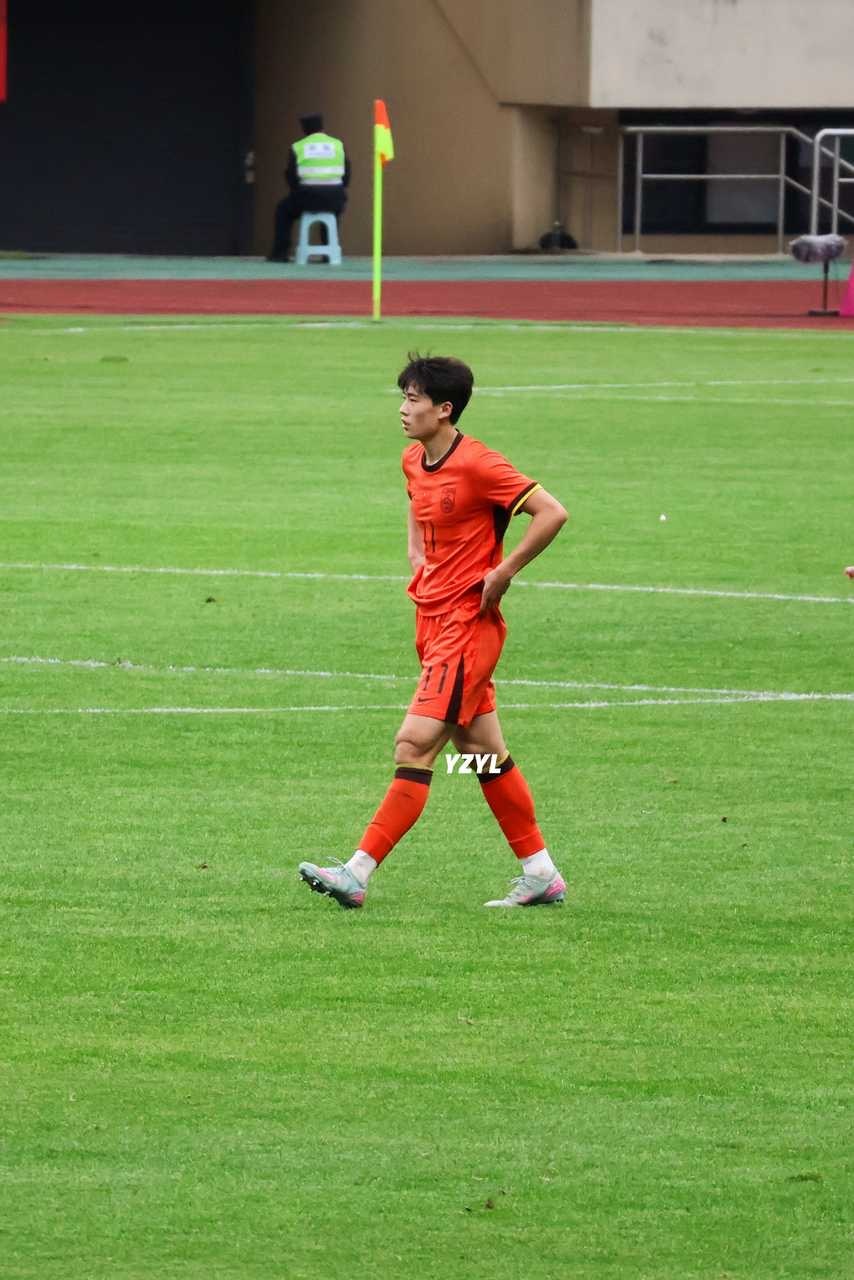 请看对袋鼠u19的几张小苗 给到一个夯