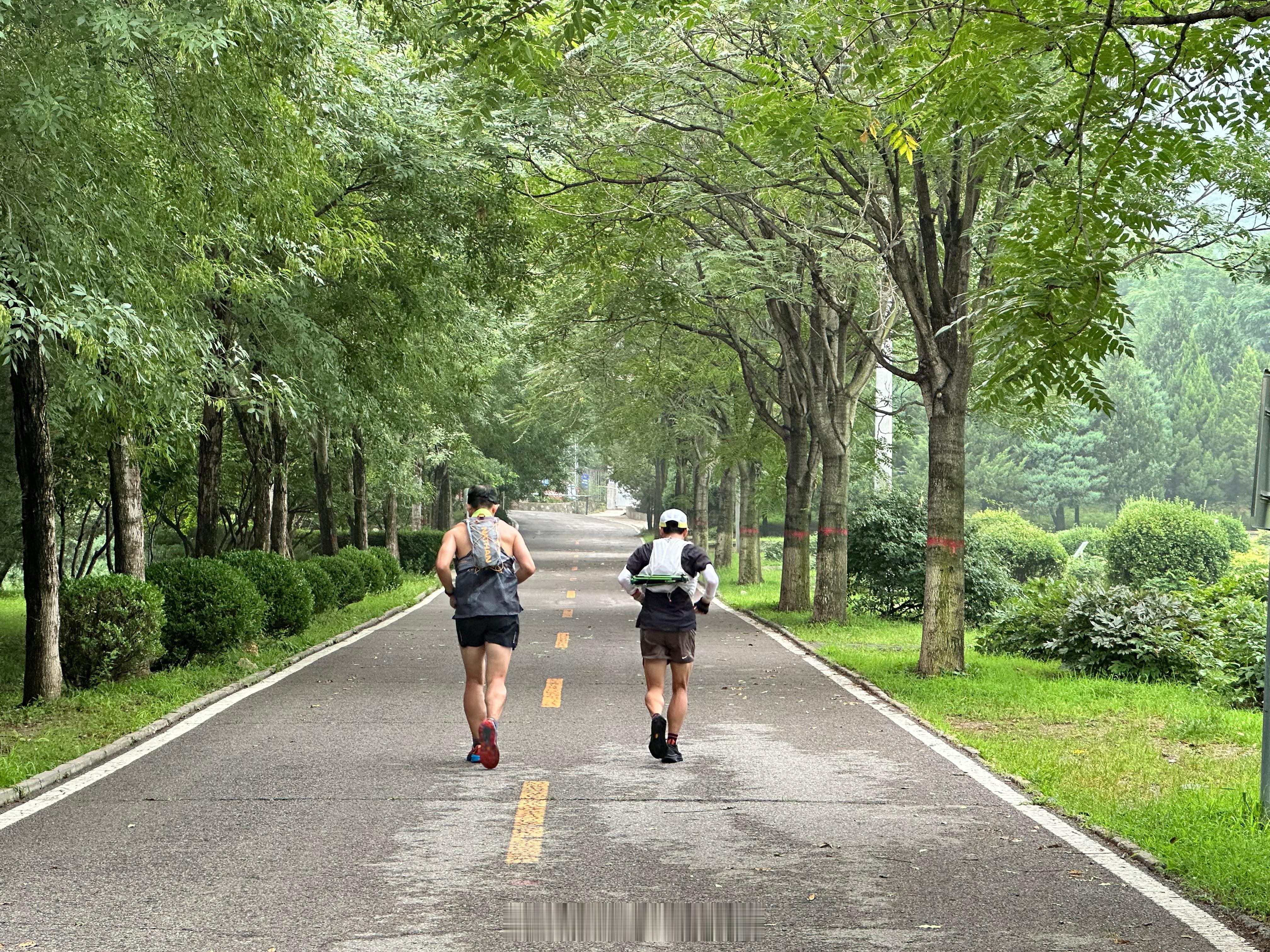 今天进山探线澜跑25km（同去年TNF25km路线）。出发时6点30，西山云雾缭