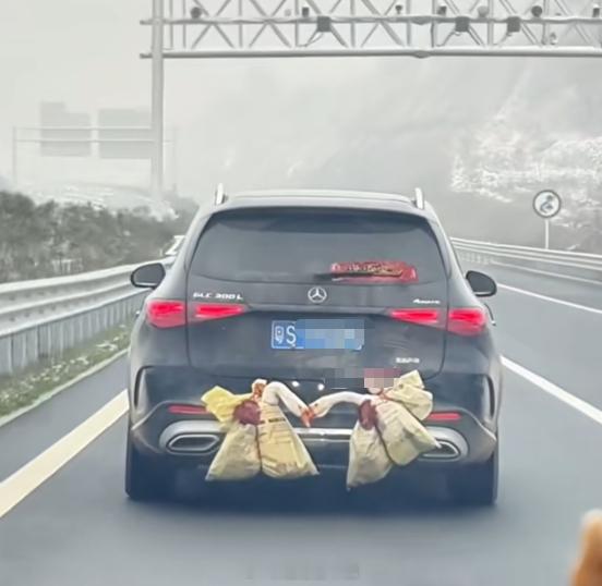 论节后返城的带年货方式可别说，我在路上还真见到过~~大v聊车