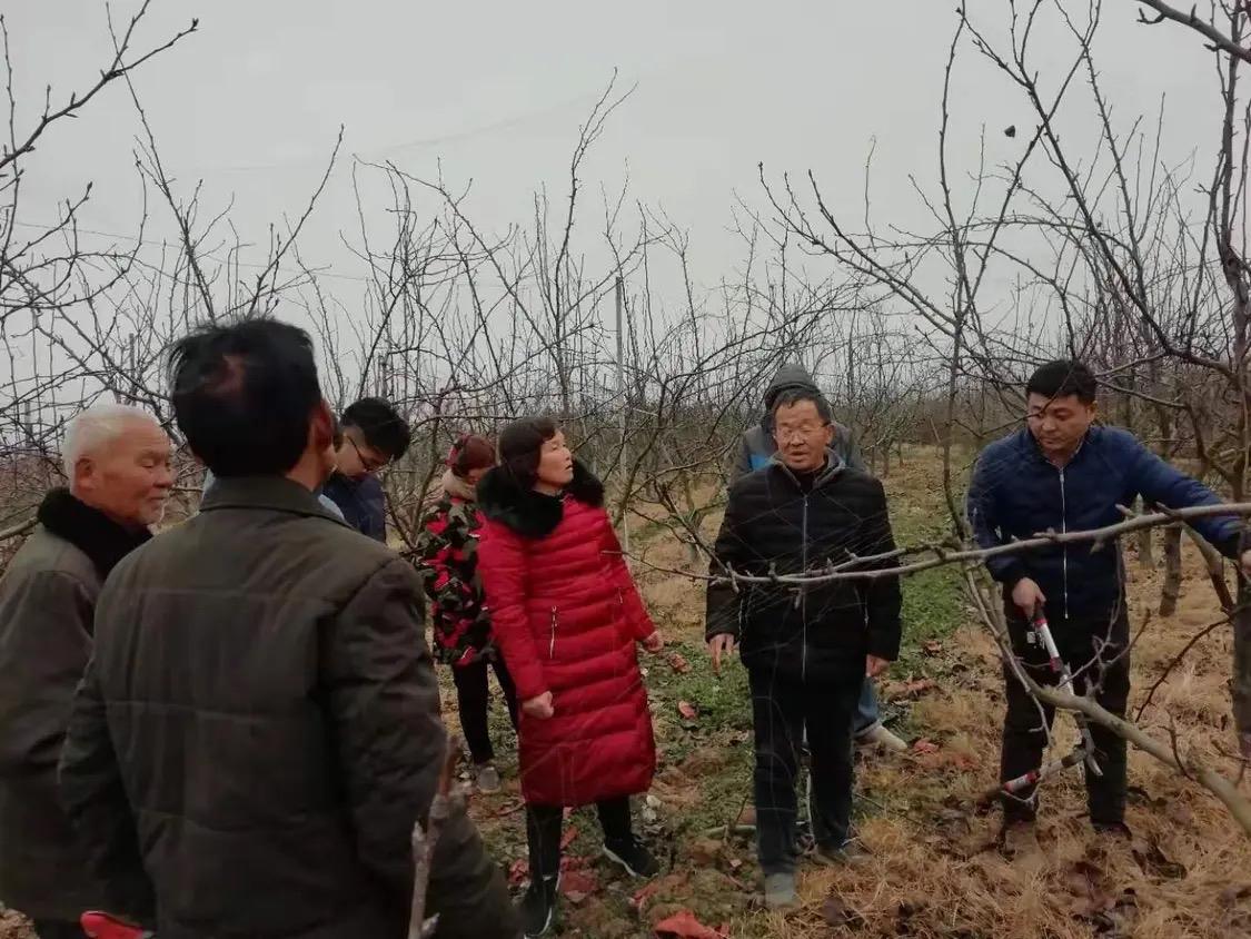 二轮土地承包期没分到土地的新增人口，三轮是否还能分到土地？现在已经越来越明朗了。