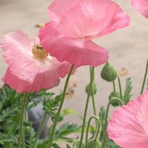 每日一善每日一善 每一滴水都折射出一个多彩的世界，每一双眼睛都嵌进一个多彩的世界