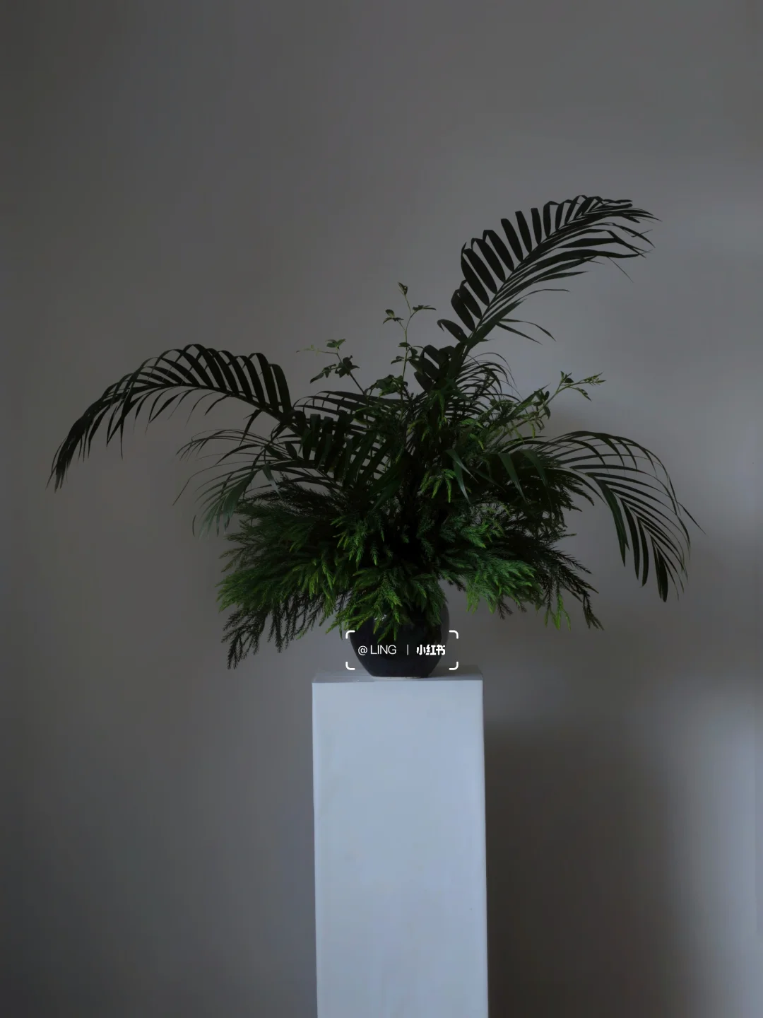 🌱低成本插花🌿两把叶材搞定大瓶花🍃