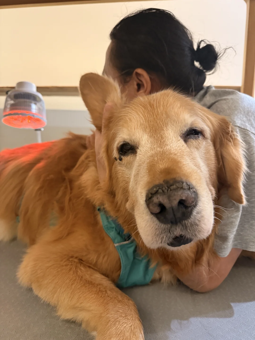 小狗每天平均18小时在睡觉