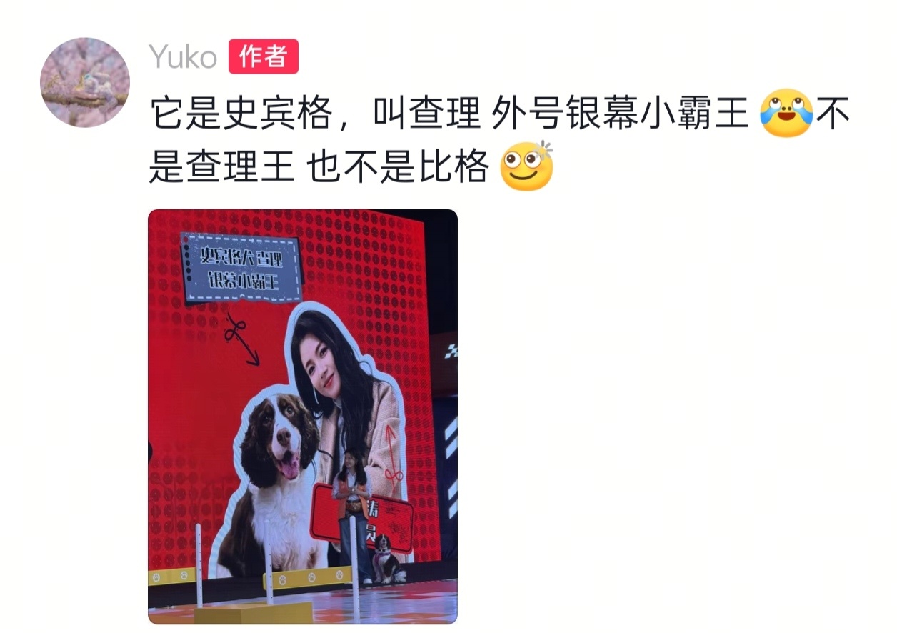 查理小霸王五个字给一群人干懵了搓手等刘涛的加油汪汪